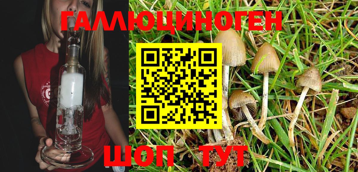Малоярославец  Галлюциногенные грибы Magic Shrooms  Вход с VPN 